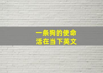 一条狗的使命 活在当下英文